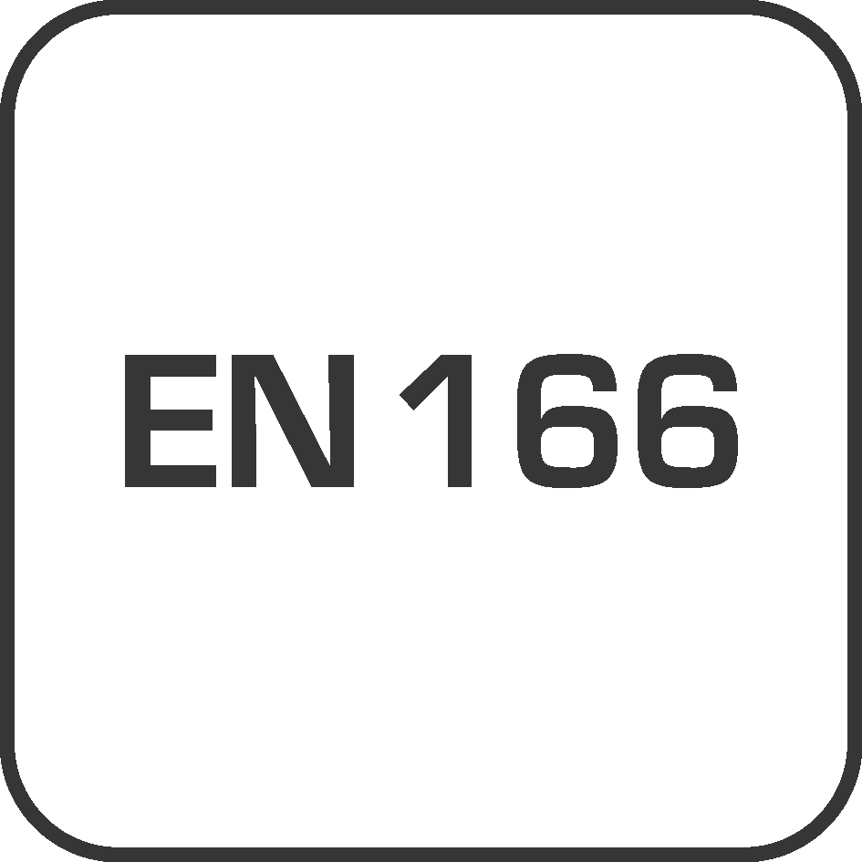EN 166